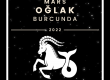Mars Oğlak Burcunda